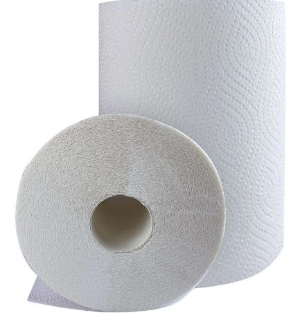 Traditional Kitchen Paper Towels
