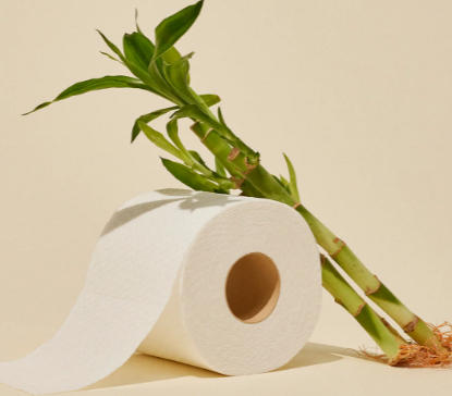 bamboo toilet paper