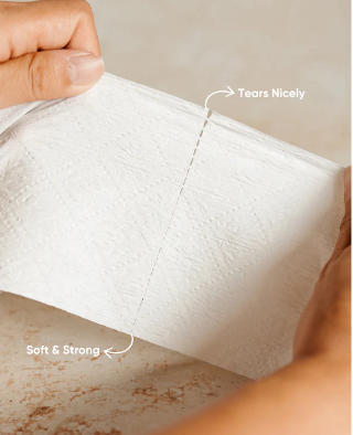 strong of 3-ply bamboo toilet paper