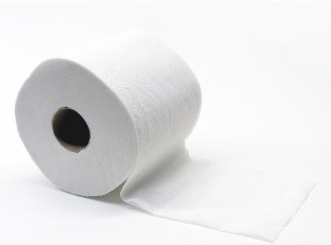 Regular Toilet Roll