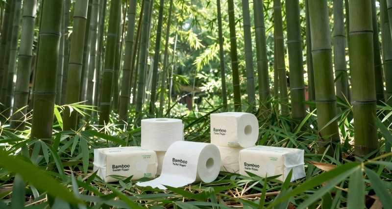3-ply bamboo toilet paper