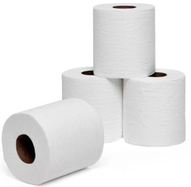 Toilet Paper Rolls