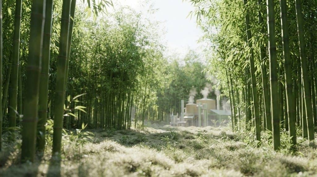sustainable raw material sourcing
